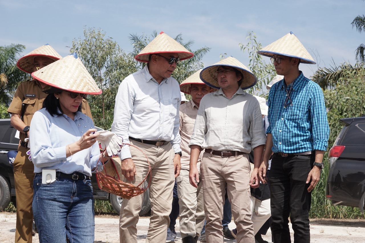 Kolaborasi Multipihak Dorong Agroforestri Riau Jadi Model Ekonomi Hijau