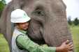 Mengintip Aktivitas “Gajah Terbang” di Hutan Riau