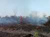 Awal April, TMC Bakal Dilakukan di Riau