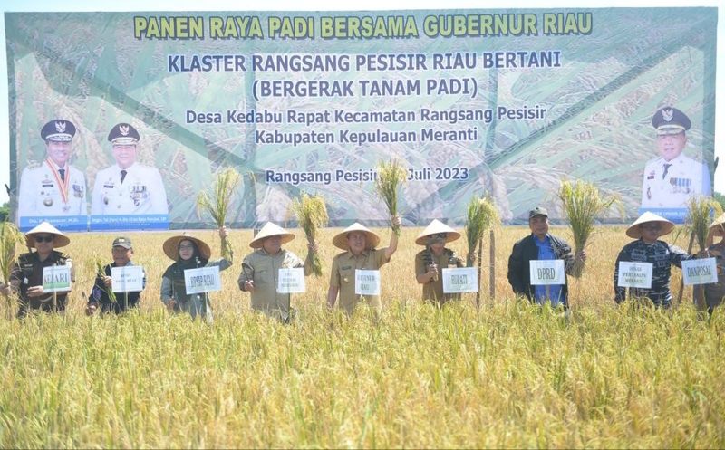 Gubri Syamsuar Panen Raya di Desa Kedabu Rapat
