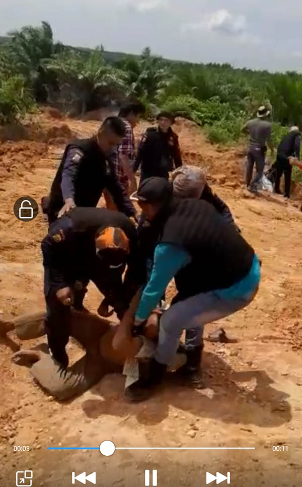 Ini Video Pengeroyokan Security BBSI Terhadap Warga Desa Talang Indragiri Hulu